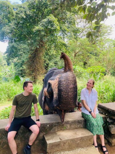 From Kandy : Pinnawala Elephant Orphanage & Ambuluwawa Tower - Morning Pickup and Kandy’s Sacred Stops: Bahirawakanda and the Tooth Relic