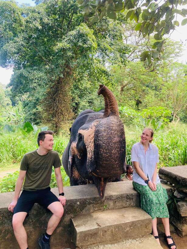 From Kandy : Pinnawala Elephant Orphanage & Ambuluwawa Tower - Morning Pickup and Kandy’s Sacred Stops: Bahirawakanda and the Tooth Relic