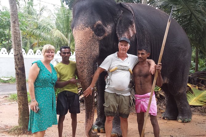 Galle Day Tour From Colombo - Madu River mangrove safari: wildlife odds and how to make the most of it