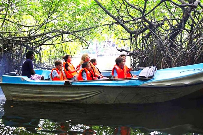 Galle Day Tour from Colombo or Negombo by Private Car , Van with Driver - Why This Coastal Day Trip Works Better Than Public Transport