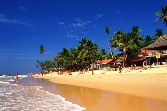 Galle Day Tour from Colombo or Negombo by Private Car , Van with Driver - Madu River Safari: A Wetland Ecosystem Ride You Can Add In