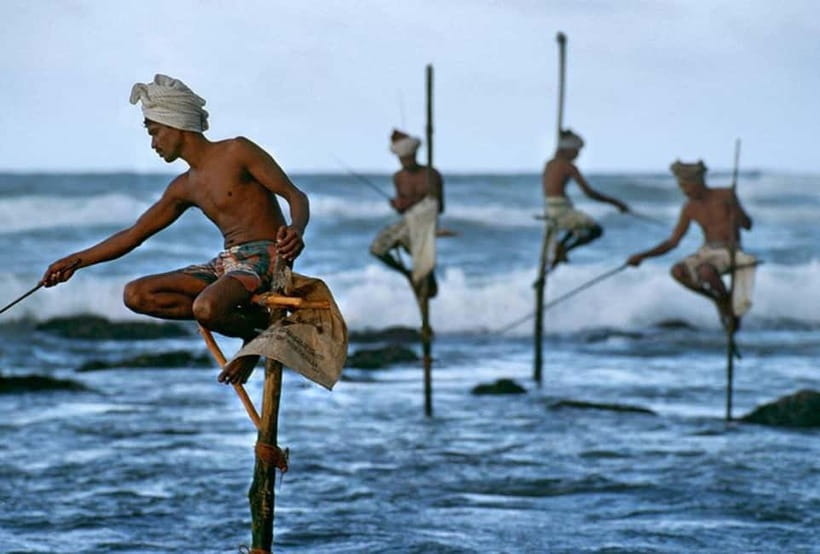 Galle Day Trip - River Safari, Sea Turtle & Stilt Fishermen - Key highlights at a glance