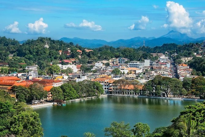 Kandy and Pinnawala Private Day Tour from Colombo/Negombo - Herbal Spice Garden: The Included Stop That Adds Texture