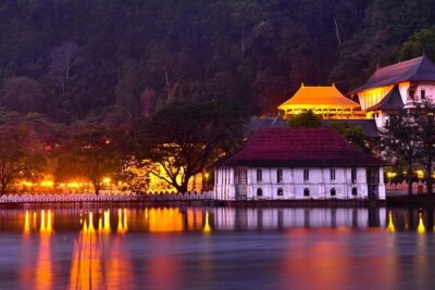 Kandy and Pinnawala Private Day Tour from Colombo/Negombo - Tea Factory Visit: The Practical Way to Understand Sri Lanka