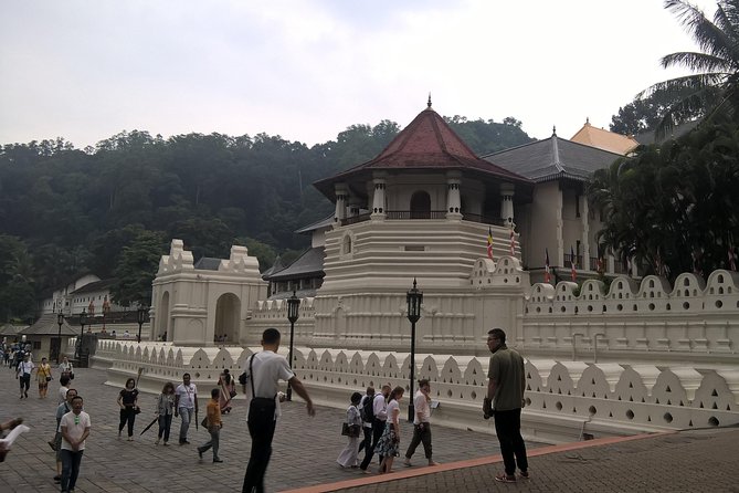 Kandy Day Tour From Colombo - Kandy Lake and the viewpoint climb