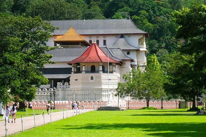 Kandy Day Tour From Colombo - Kandy city time: mountains, tea-country context, and market energy