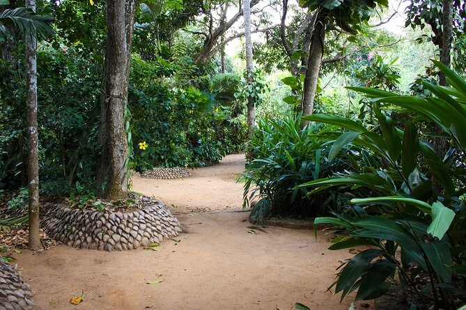 Kandy Full-Day Tour - Kandy Lake: Views, a Short Walk, and a Reality Check
