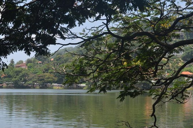 Kandy Full-Day Tour - Kadugannawa Tea Factory and Tea Estate: Tea That Feels Tied to the Land