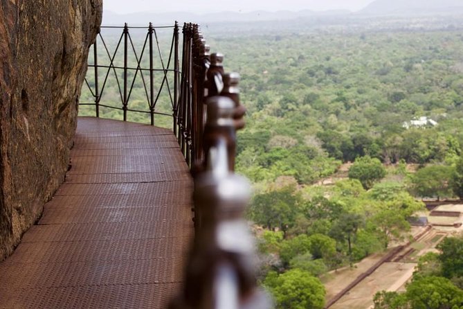 Private Day Trip to Sigiriya, cave and National park Safari Tour - Getting Picked Up at 7:30 and Surviving the Drive