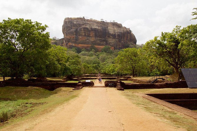 Private Day Trip to Sigiriya, cave and National park Safari Tour - Stop 3: Minneriya National Park Safari and the Elephant Factor