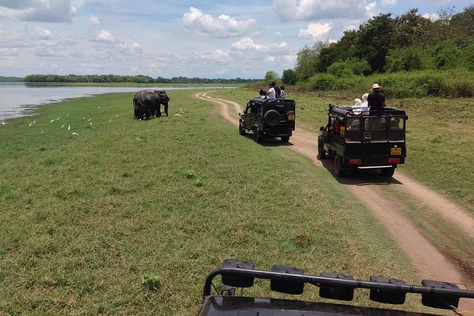 Private Trip to Sigiriya, Dambulla & safari from Colombo/ Negombo - Sigiriya: Ancient Rock Fortress Time That Moves Fast
