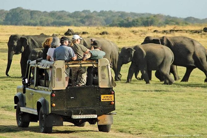 Private Trip to Sigiriya, Dambulla & safari from Colombo/ Negombo - Pidurangala: The Sister Rock Stop Worth Making Time For