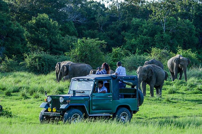 Private Trip to Sigiriya, Dambulla & safari from Colombo/ Negombo - Driver and Day-Management: Why People Mention Names Like Wasa and Asange