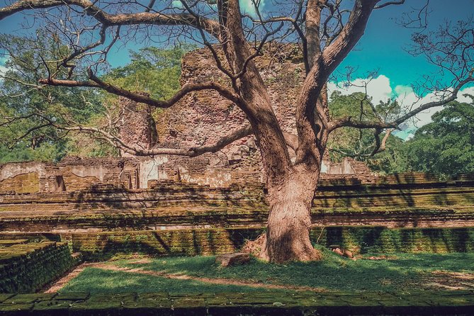 Sigiriya, Polonnaruwa & Dambulla "Trilogy" Day Tour from Colombo - Transport comfort and road reality from Colombo (and Negombo)