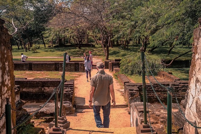 Sigiriya, Polonnaruwa & Dambulla "Trilogy" Day Tour from Colombo - Sigiriya Rock Fortress: the climb you budget for