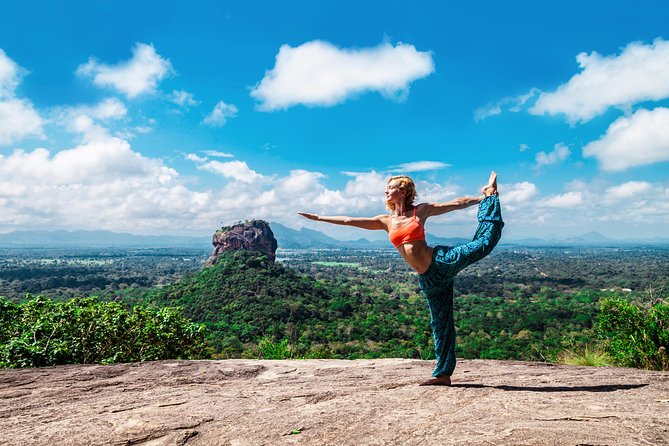 Sigiriya Rock and Dambulla Cave Temple Day Tour - The Big Picture: What You’re Really Buying for $60
