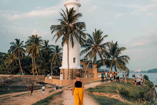 Southern Sri Lanka Sightseeing Day Trip From Colombo & Negombo - Price and value: is $85 worth it for what you’ll actually do?