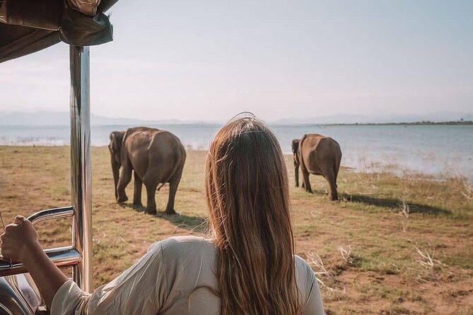 Sri Lanka 03 night 04 days budget tour package - Hotels and choosing your comfort level for 3 nights