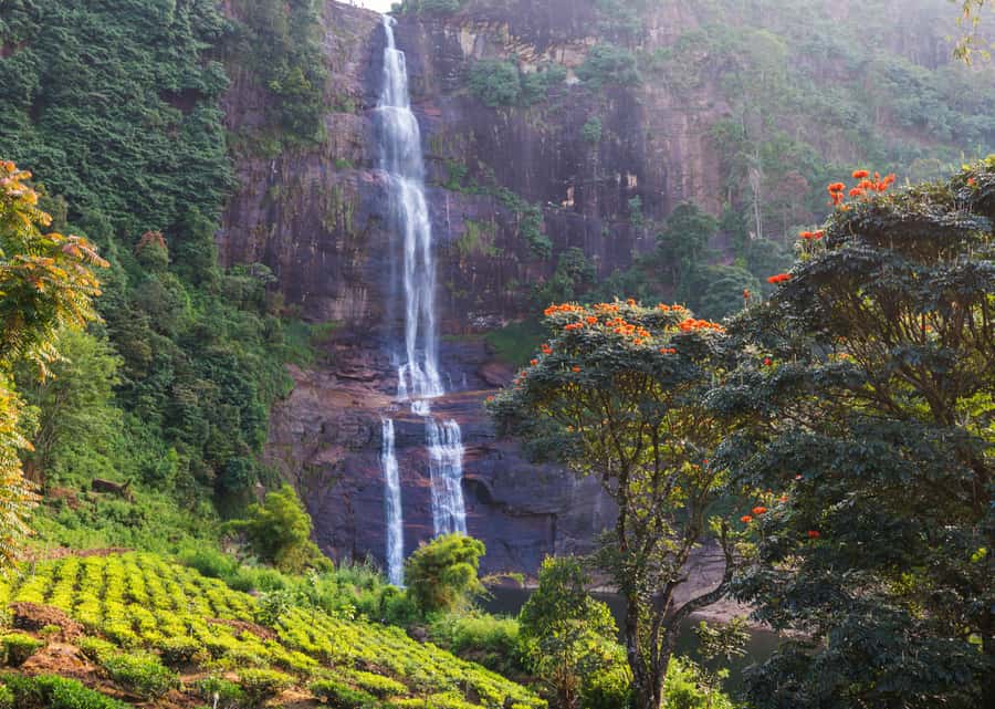 Sri Lanka Private 2-day Tour:Train Trip, Kandy, Nuwara Eliya - Key Highlights You’ll Actually Care About
