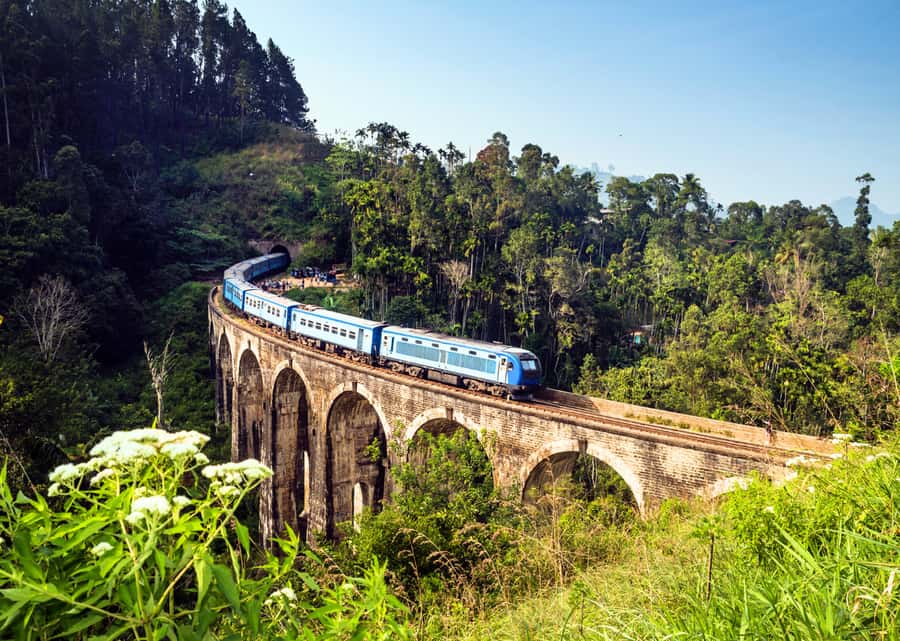 Sri Lanka Private 2-day Tour:Train Trip, Kandy, Nuwara Eliya - Peradeniya Botanical Garden: Your Orchid and Shade Break
