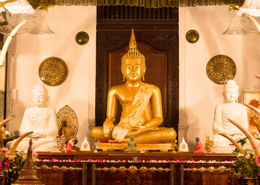Sri Lanka Private 2-day Tour:Train Trip, Kandy, Nuwara Eliya - Kandy Cultural Show: Drum Dancing and Fire Walking