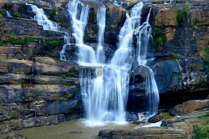Sri Lanka Private 8-Day Guided Tour with Pickup from Colombo - Habarana as your launchpad: why this base works