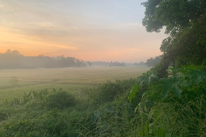 Sri Lanka - Private Ratnapura Gem Tour with Gem and jewelry Expert - Key highlights I’d plan around
