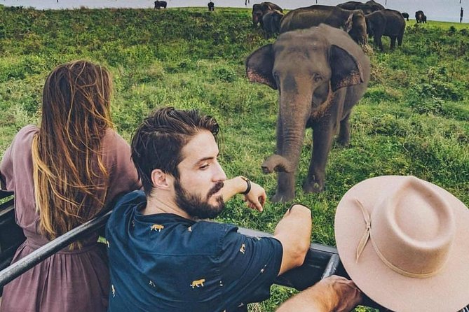 Sri Lanka private tour package 9 night 10 Day with driver+vehicle+accommodations - Day 4: Dambulla Rock Cave Temple, then spice garden and batik in Kandy