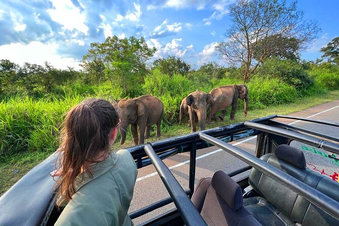 Sri Lanka Travel in 08 Nights 09 Days - Why this Sri Lanka route feels more like an adventure than a checklist