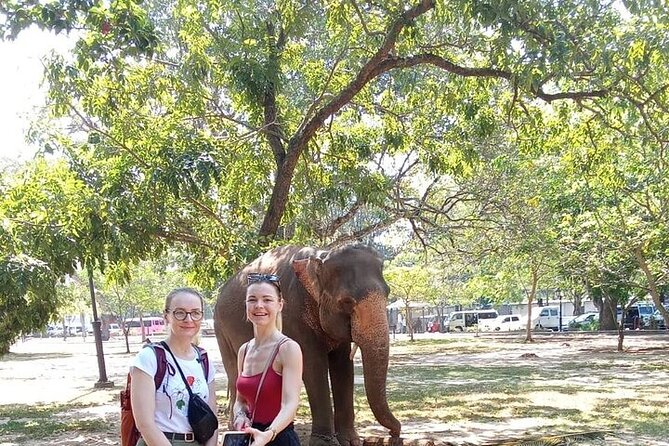 Tuk Tuk Private Tour Exploring Sri Lanka Capital of Colombo - Why a private tuk-tuk makes sense in Colombo