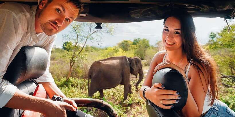Udawalawa National Park: All-Inclusive Private Day Tour - The heart of the day: a 3-hour Udawalawe jeep game drive