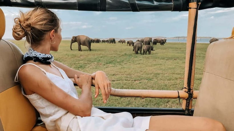 UDAWALAWA SAFARI TOUR from HAMBANTOTA PORT (Shore Excursion) - Elephant Transit Home: why the second stop hits differently