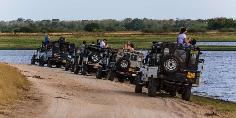Wilpattu National Park Safari Tour from Colombo - FAQ